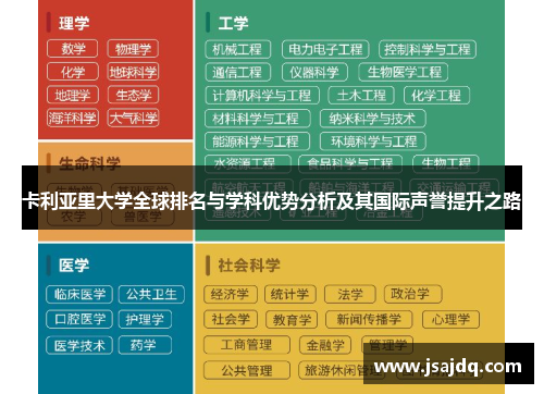 卡利亚里大学全球排名与学科优势分析及其国际声誉提升之路