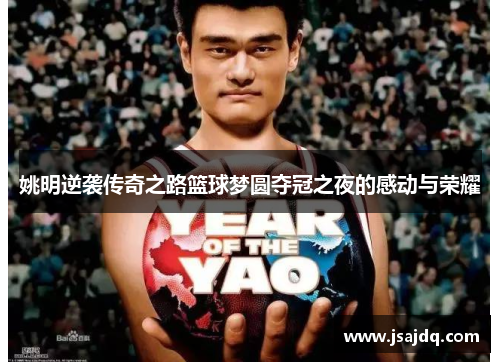 姚明逆袭传奇之路篮球梦圆夺冠之夜的感动与荣耀