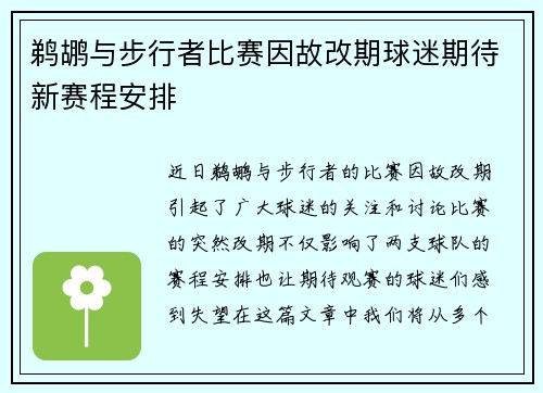 鹈鹕与步行者比赛因故改期球迷期待新赛程安排